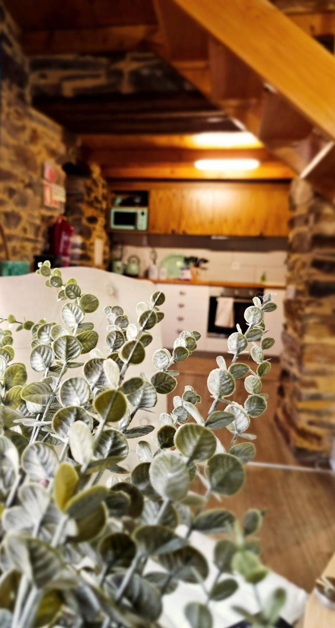 Holiday home Pampihouse, Luxury Rustic House Near River Pampilhosa da Serra